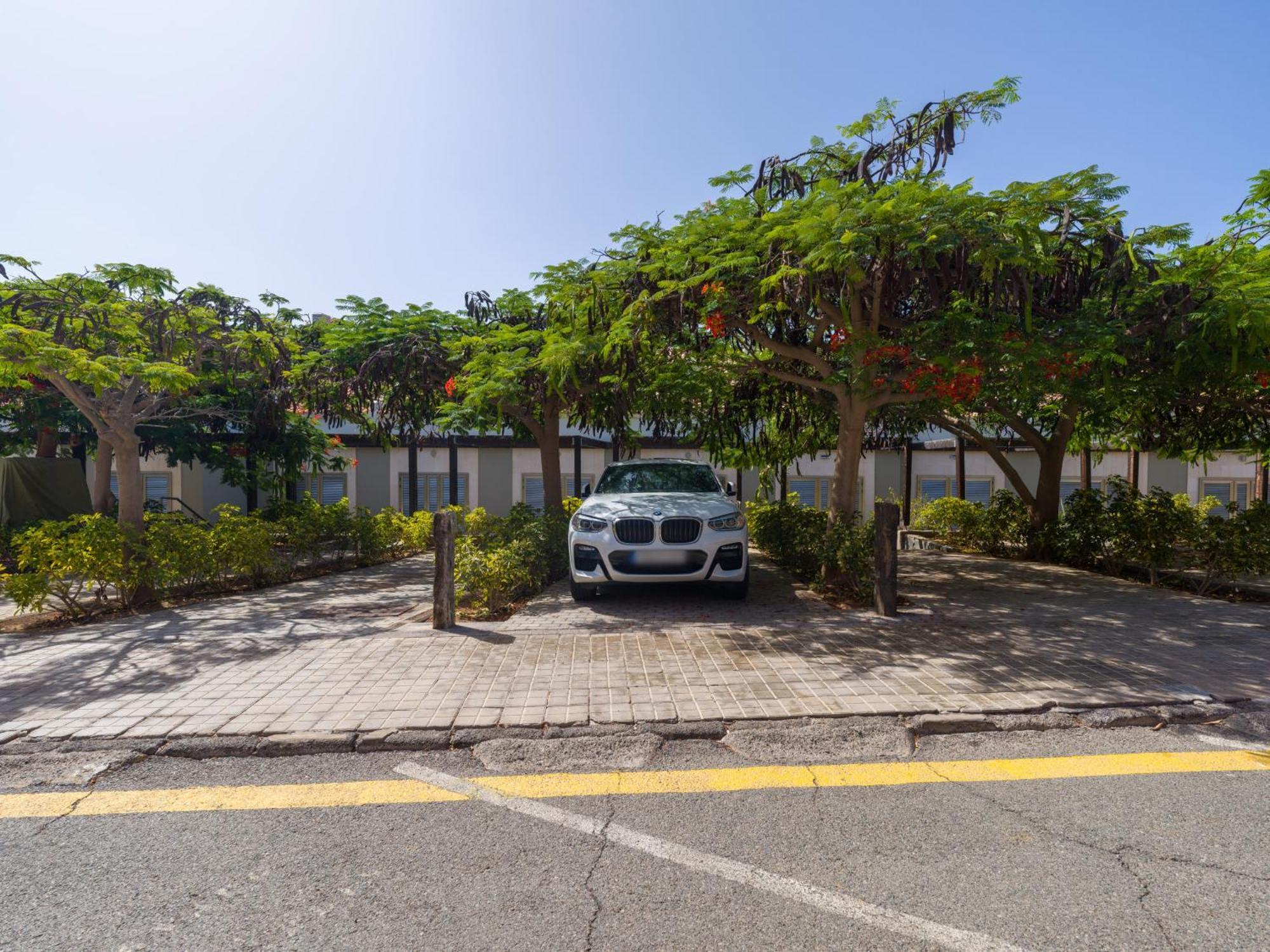 Blue Marlin Apartment - Gran Canaria Stays Пасито Бланко Экстерьер фото